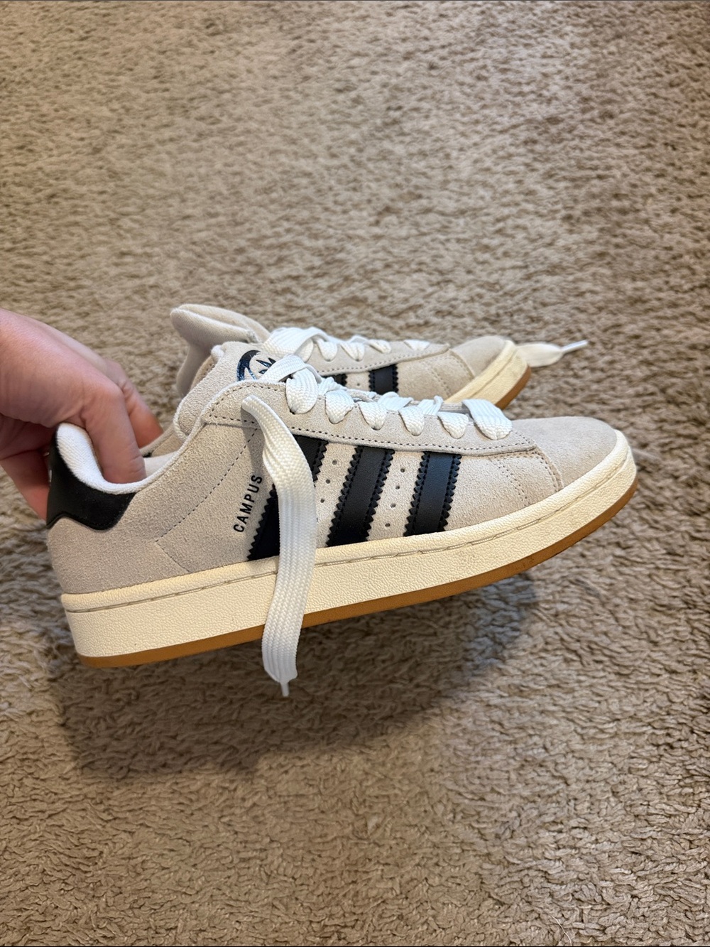 Adidas campus sneaker